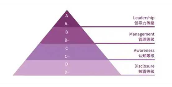 图表, 漏斗图
AI 生成的内容可能不正确。